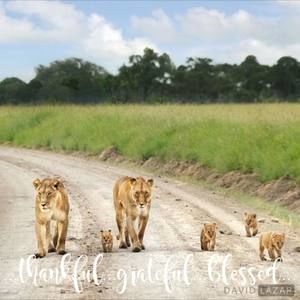 Meet your Posher, Nathaniel